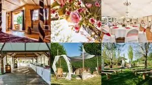 Domaine des Elies